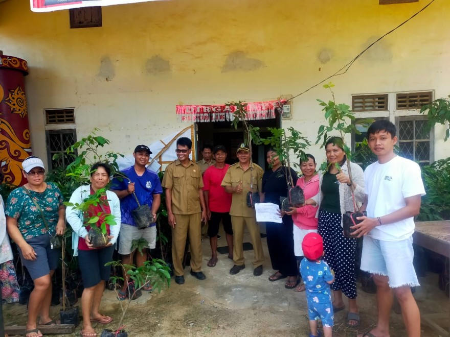 Album : PEMBAGIAN BIBIT LENGKENG  KEPADA MASYARAKAT  